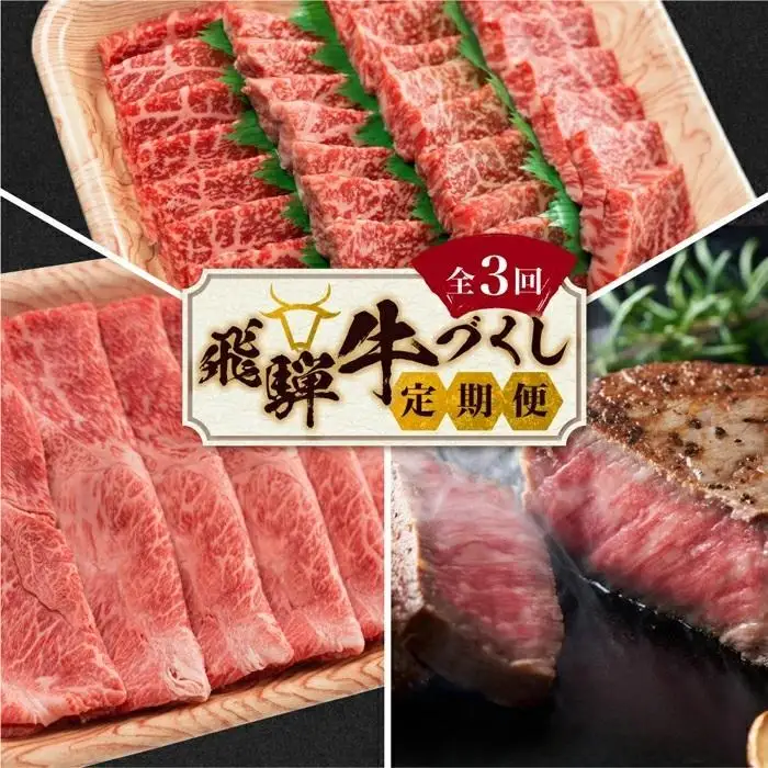 【8月開始】飛騨牛づくし 定期便 3ヶ月 ( 焼肉 / すき焼き / ステーキ ) 全3回  | 定期便 BV100VC08