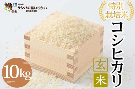 特別栽培米　玄米〈コシヒカリ〉10kg ≪米 お米 白米 ご飯 栃木県産≫ ※2026年9月～発送