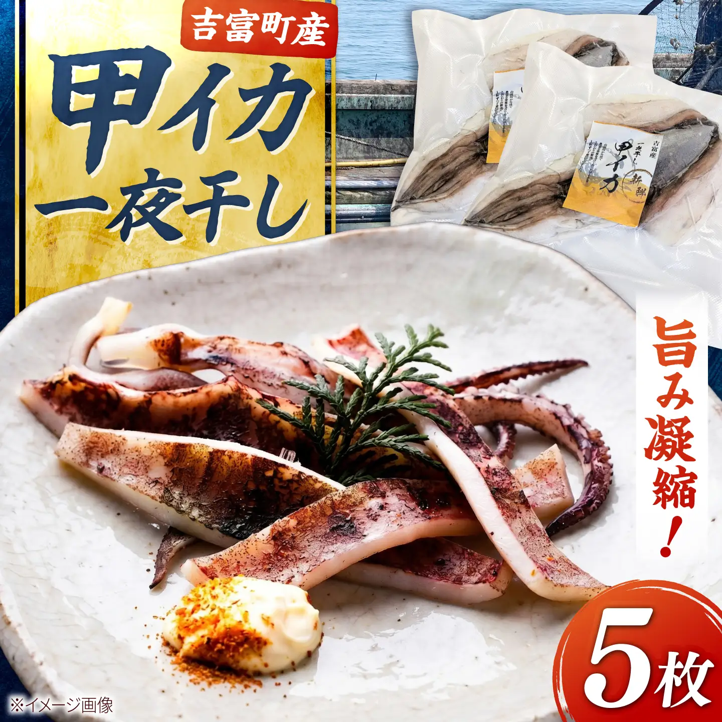 甲イカ一夜干し 5枚 [BGAW001] いか 一夜干し 干物