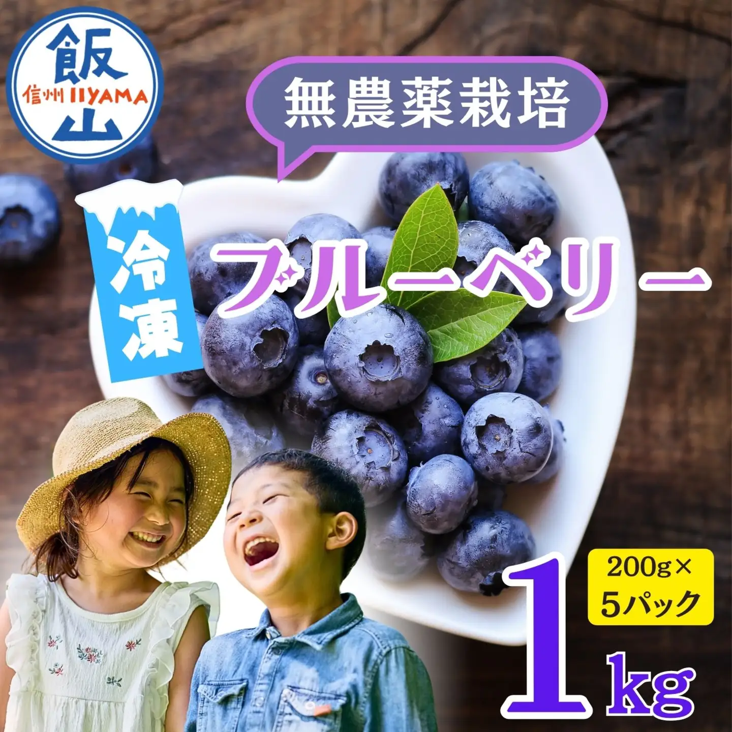 【冷凍】ブルーベリー １kg ブルーベリー Br-003