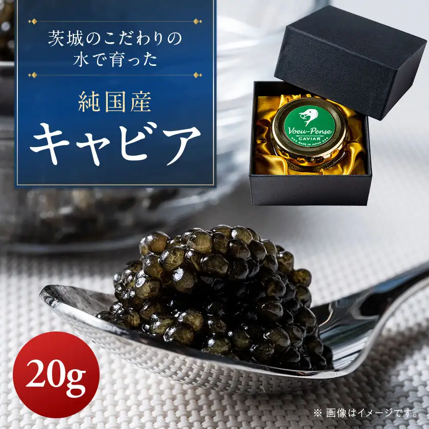 【先行予約】純国産キャビアVoeu-Pence　20g×1個【配送不可地域：離島・沖縄県】【1619559】