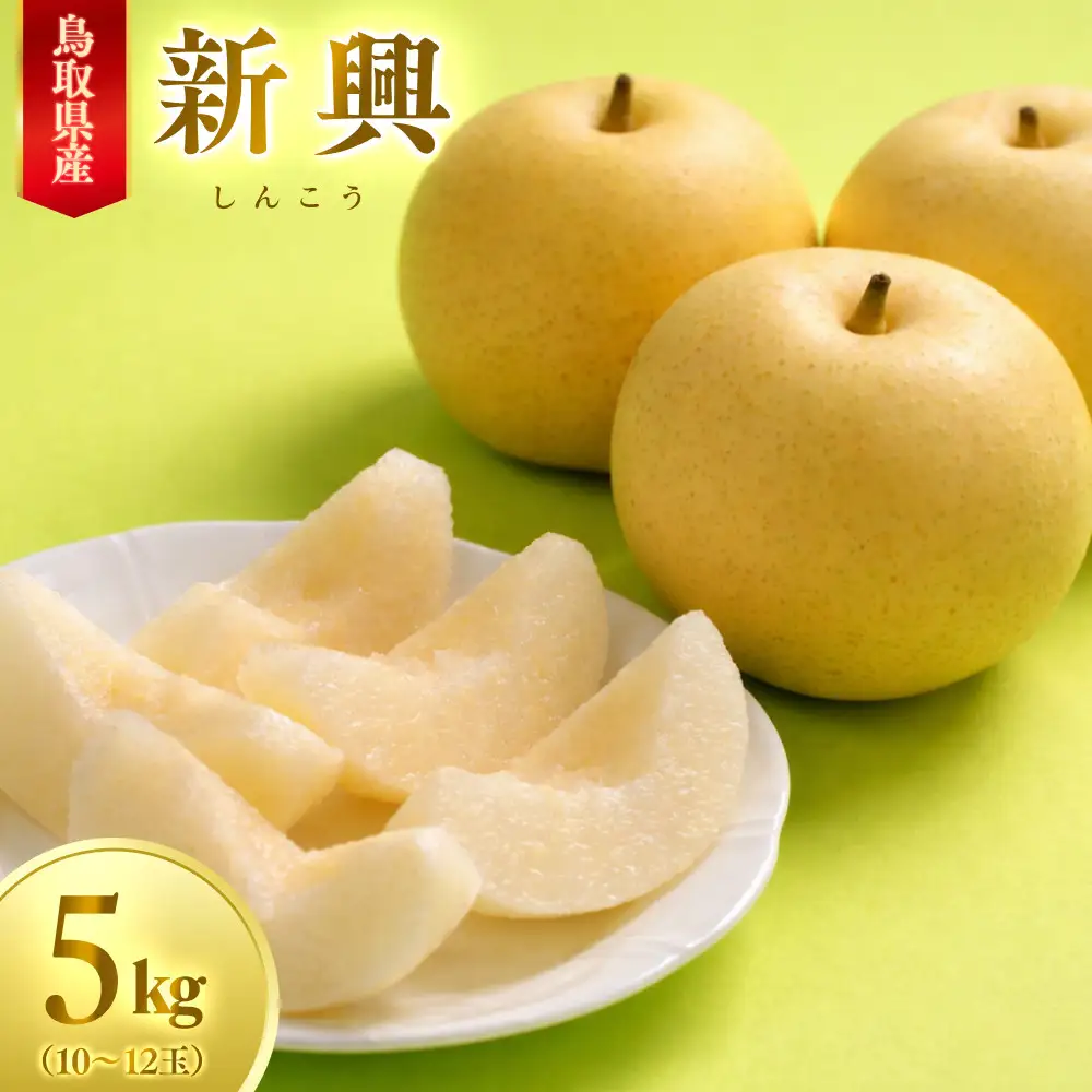 【先行予約】数量限定 鳥取県産梨 新興（しんこう） 5kg（10～12玉）
