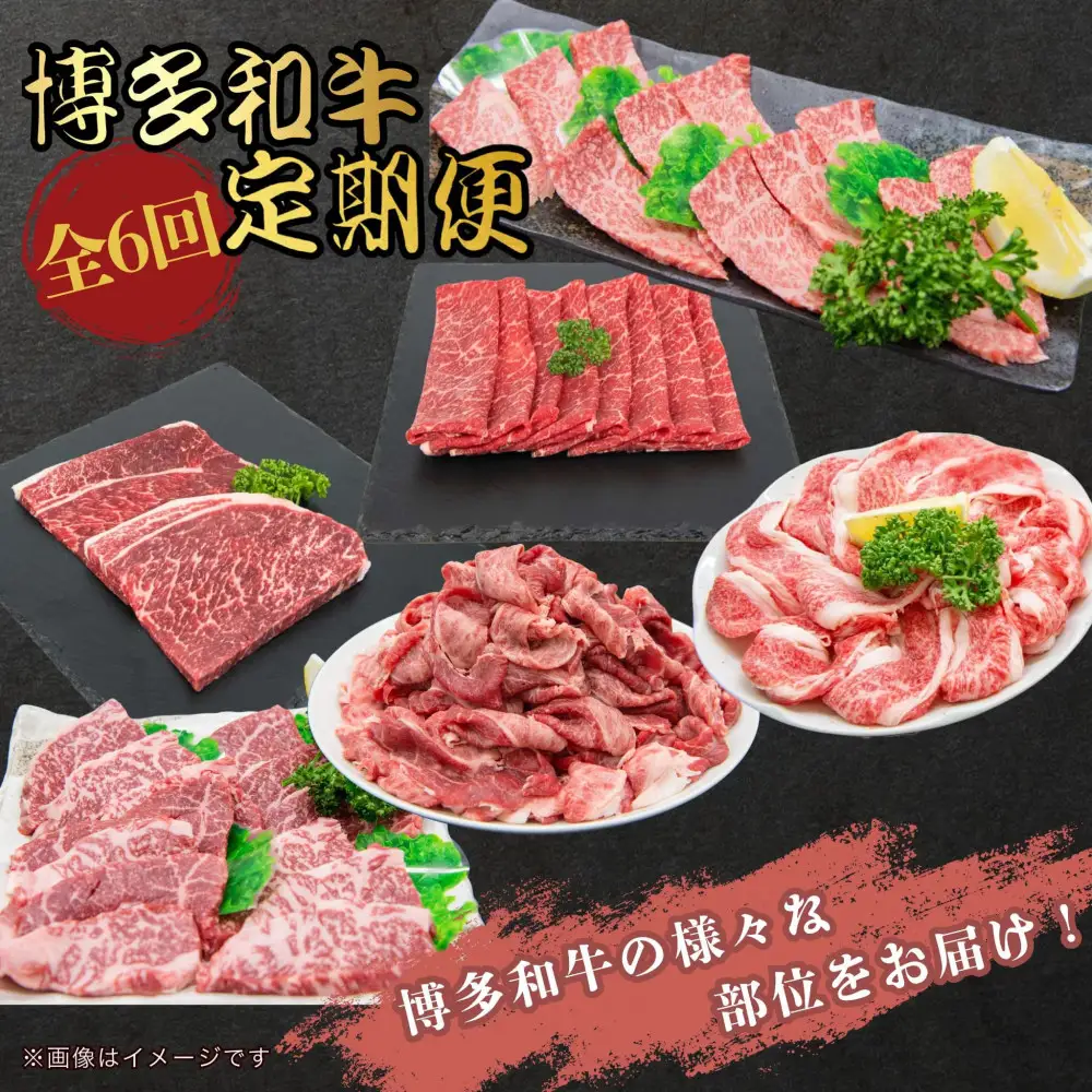 博多和牛 厳選定期便全6回
