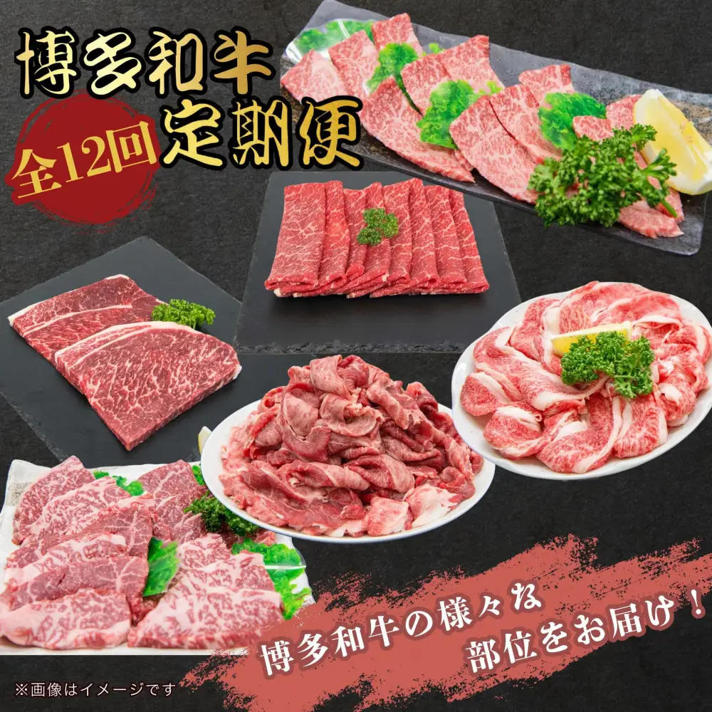 博多和牛 厳選定期便全12回