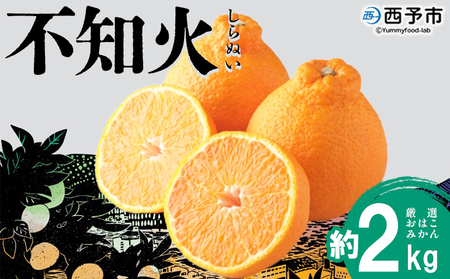 ＜おはこやがつくる おはこデコ（不知火）約2kg（L～3Lサイズ）＞ 果物 フルーツ 柑橘 しらぬい みかん 特産品 西宇和 愛媛県 西予市【常温】『2027年2月上旬～2月中旬迄に順次出荷予定』MOK0019