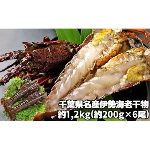 C04-E04 伊勢海老の干物 200g×6尾