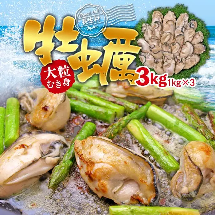 C01-H31 大粒むき身牡蠣 3kg（約20～30粒×3袋）