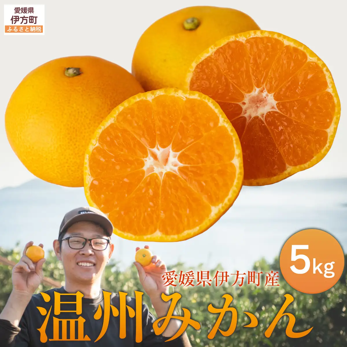 【先行予約】【数量限定】温州みかん5kg（石崎農園）※離島への配送不可 （2026年11月20日より順次発送予定） IKTAG001 