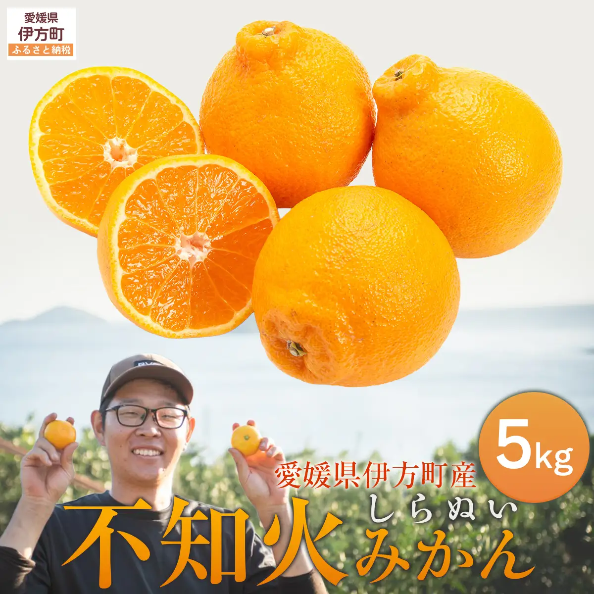 【先行予約】【数量限定】不知火5kg（石崎農園）※離島への配送不可 （2027年2月10日より順次発送予定） IKTAG002 