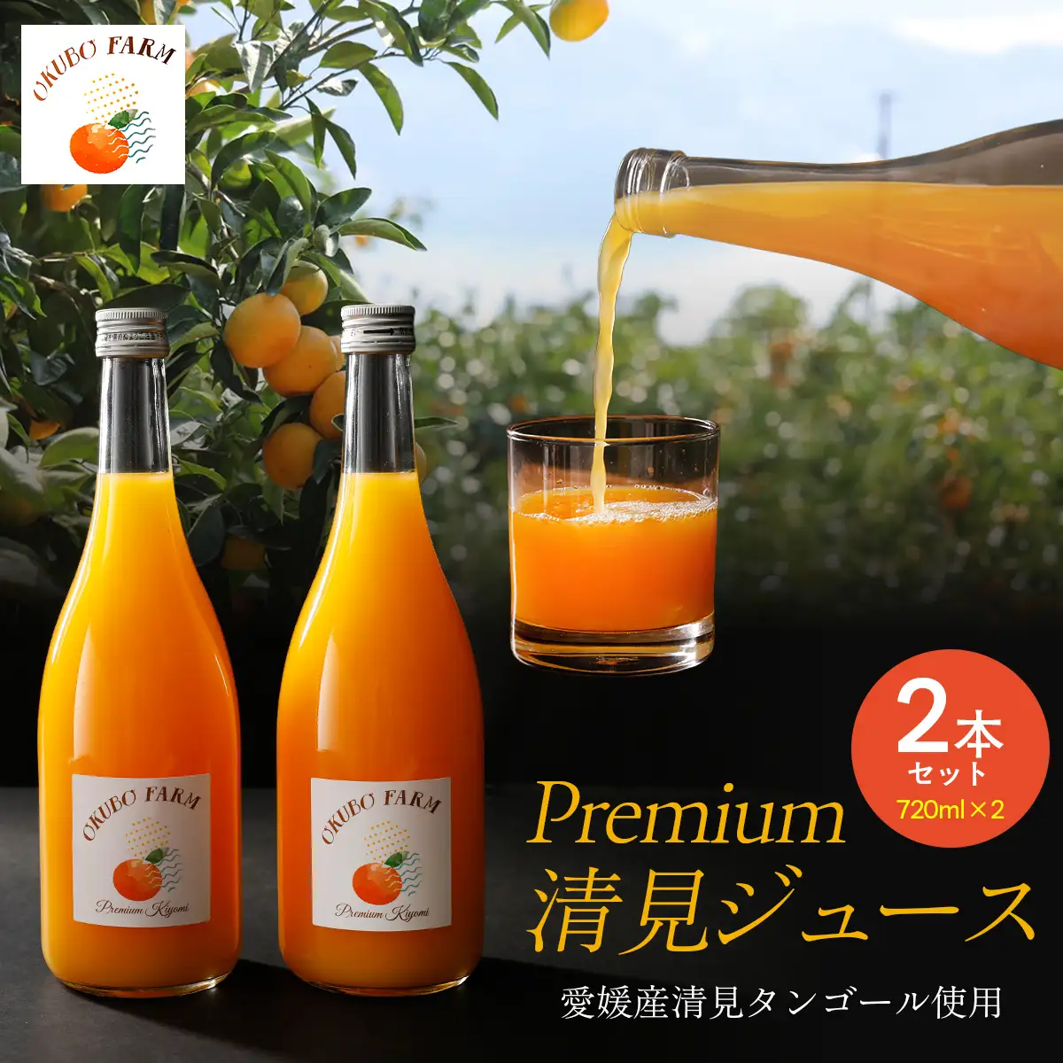 Premium清見ジュース（2本セット）※北海道・沖縄・離島への配送不可 【ふるさと納税 人気 おすすめ ランキング 柑橘 みかん ミカン フルーツ ジュース みかんジュース ミカンジュース オレンジジュース 清見 果物 OKUBO FARM 愛媛県 伊方町 送料無料】 IKTAT001 