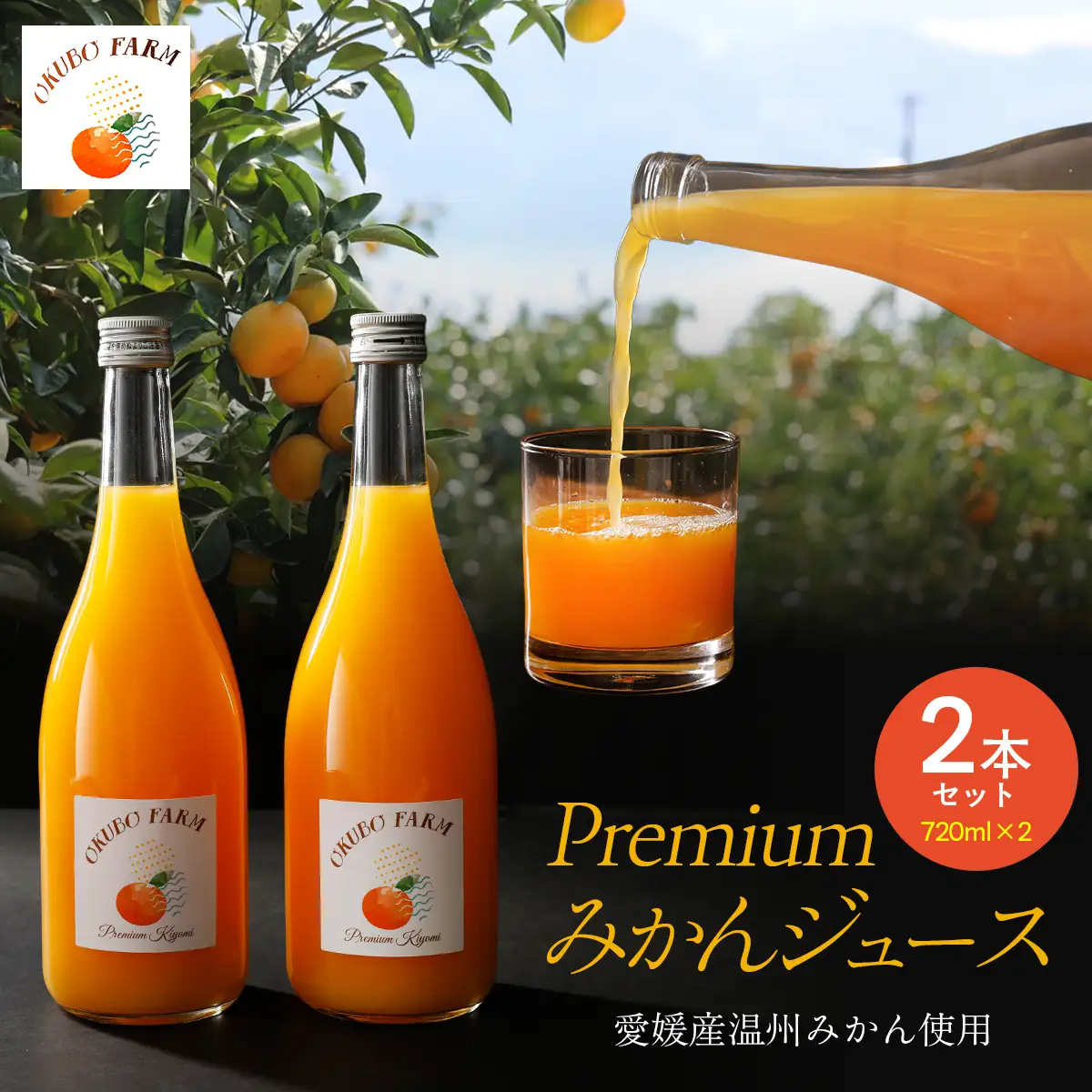Premiumみかんジュース（2本セット）※北海道・沖縄・離島への配送不可【 ふるさと納税 人気 おすすめ ランキング 柑橘 みかん ミカン フルーツ みかんジュース オレンジジュース 温州みかん 温州ミカン 温州蜜柑 果物 ジュース 愛媛  OKUBO FARM 愛媛県 伊方町 送料無料 】 IKTAT002 