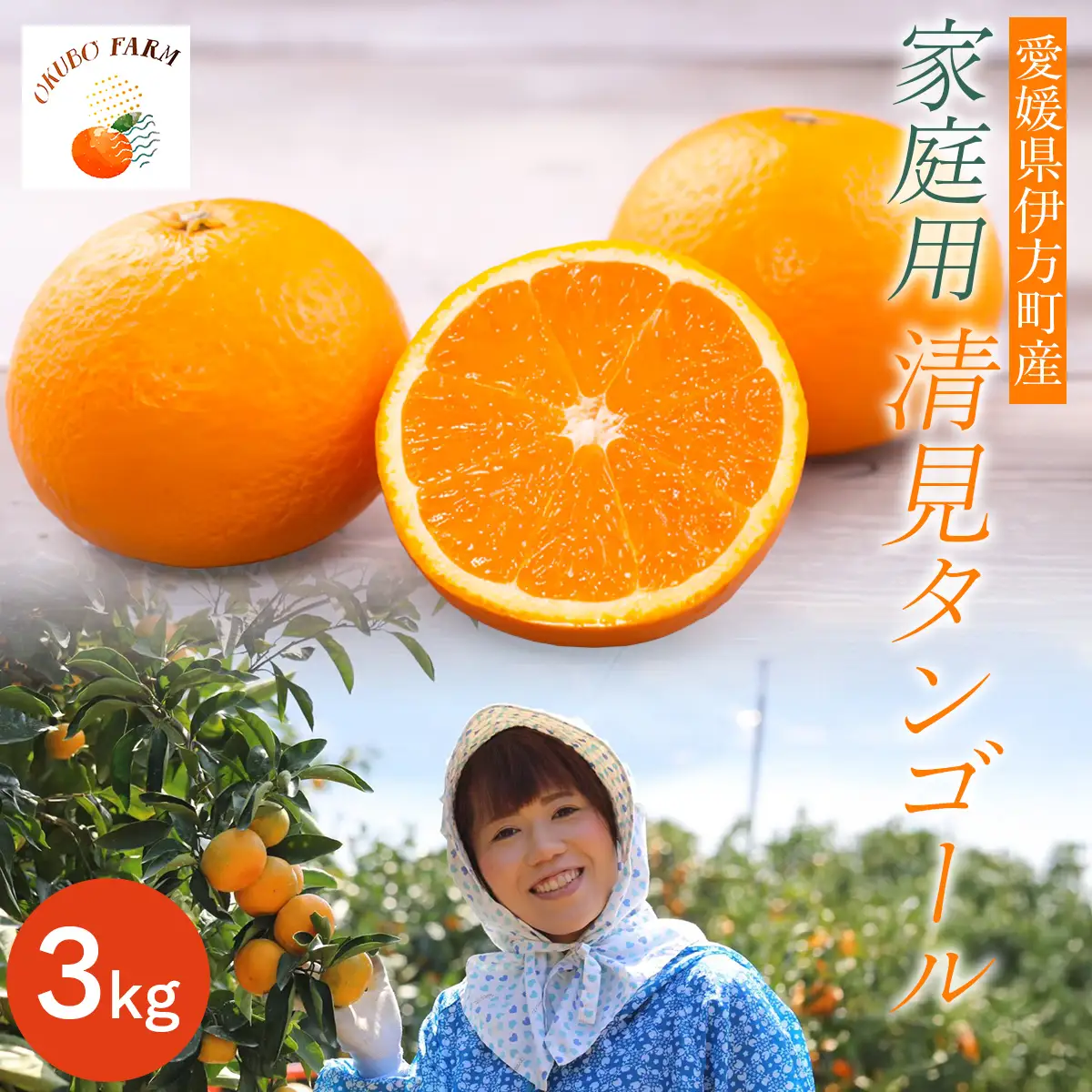 【先行予約】【家庭用】清見タンゴール 3kg ※北海道・沖縄・離島への配送不可（2027年3月11日より順次発送） IKTAT005 | 清見タンゴール