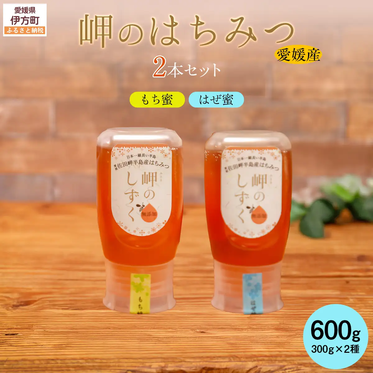 【はぜみつ・もちみつセット】岬のはちみつ2本セット IKTC002-2 