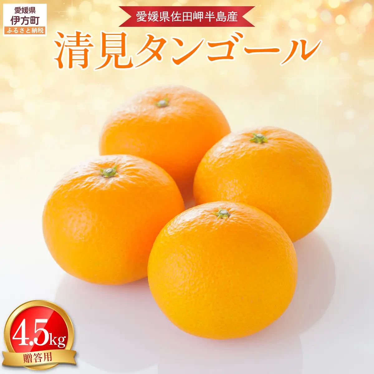 【先行予約】【農家直送】愛媛県産 清見タンゴール 贈答用 4.5kg（2027年3月中旬～4月下旬に順次発送予定） IKTC007 