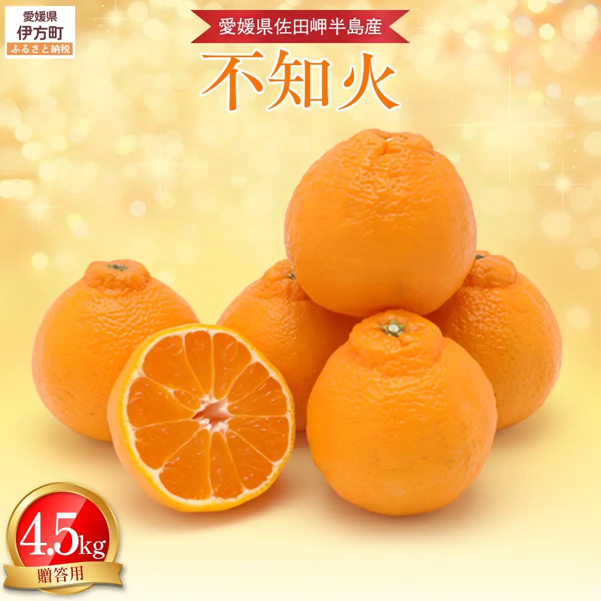 【先行予約】【農家直送】愛媛県産 不知火 贈答用 4.5kg （2027年2月下旬～3月下旬に順次発送予定） IKTC008 