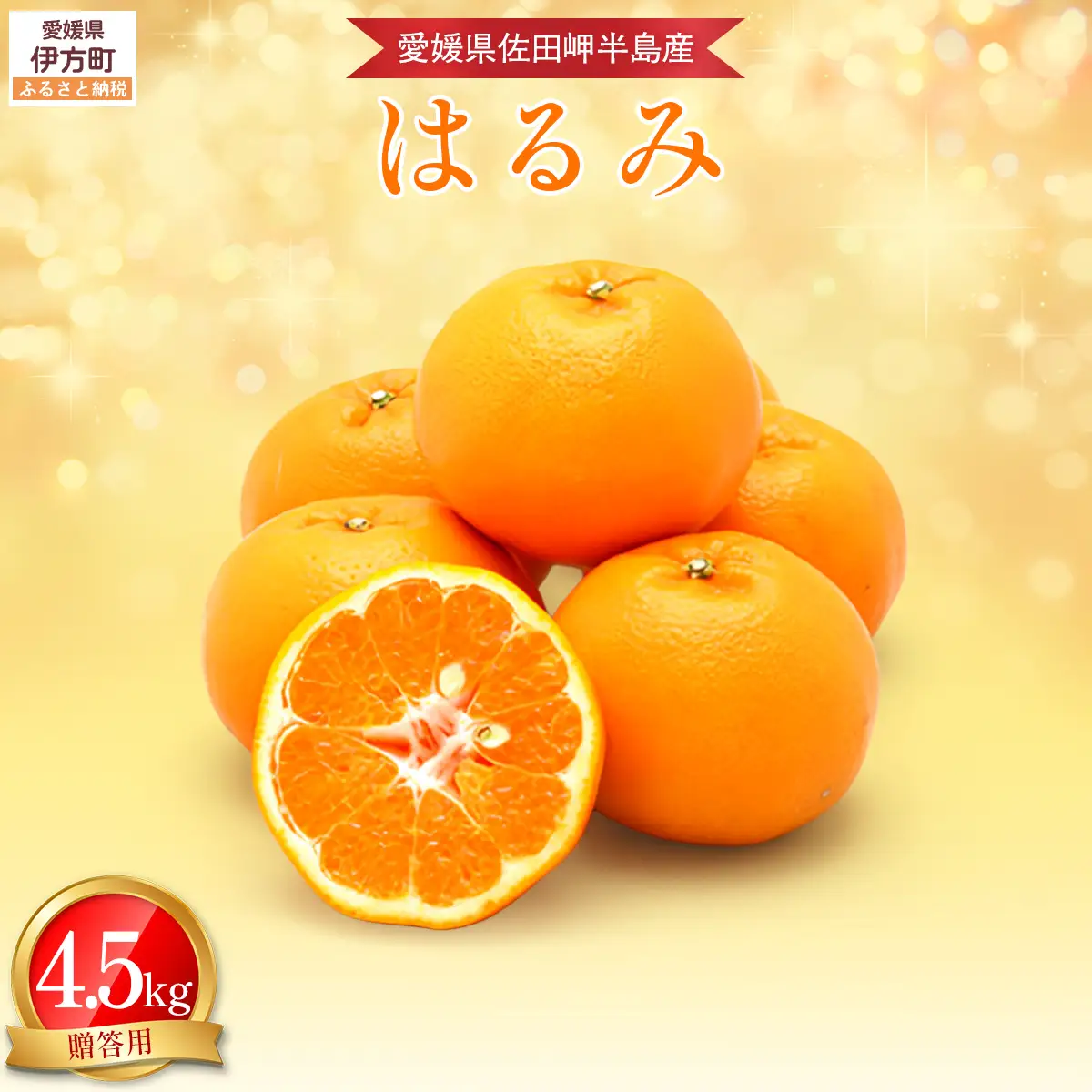 【先行予約】【農家直送】愛媛県産 はるみ 贈答用 4.5kg（2027年1月下旬～2月上旬に順次発送予定） IKTC009 