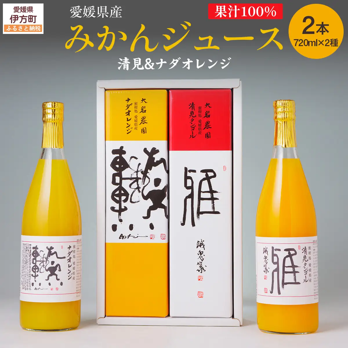 愛媛県産 果汁100％みかんジュース2本入りセット（清見・ナダオレンジ） IKTC011 