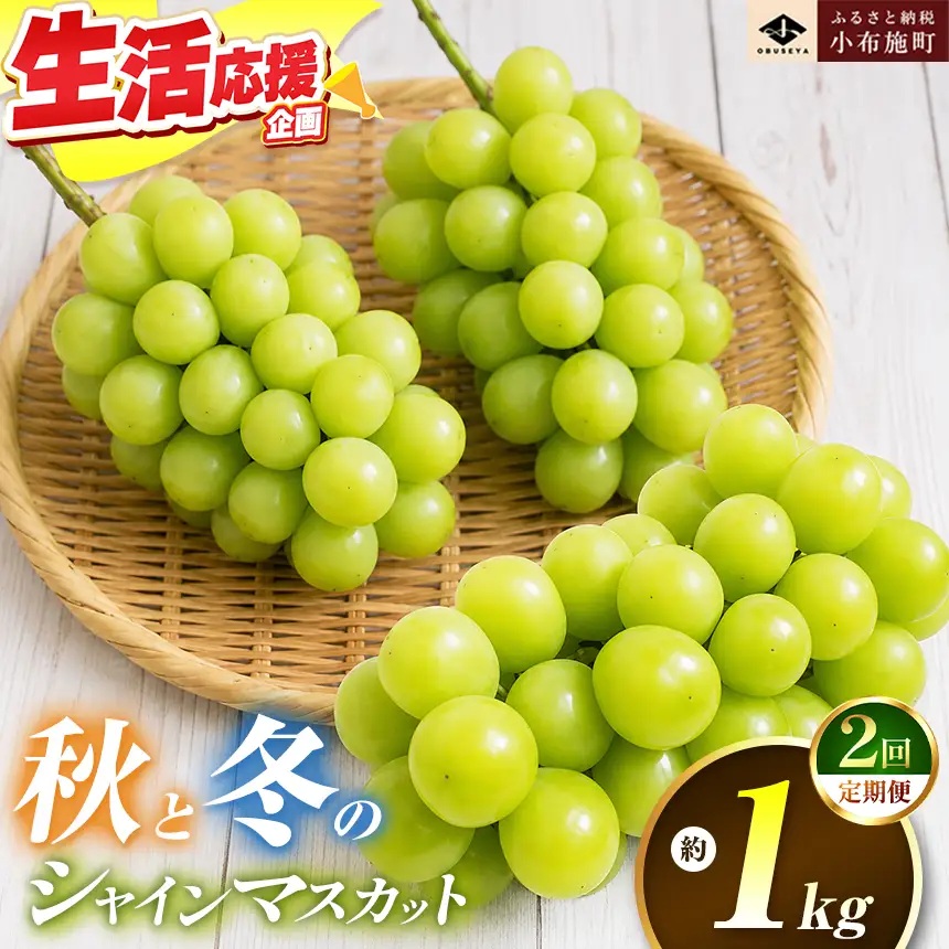 秋と冬のシャインマスカット2回定期便 約1kg × 2回 合計 約2kg ［小布施屋］ 令和8年産 【2026年10月～12月発送】［J-8］