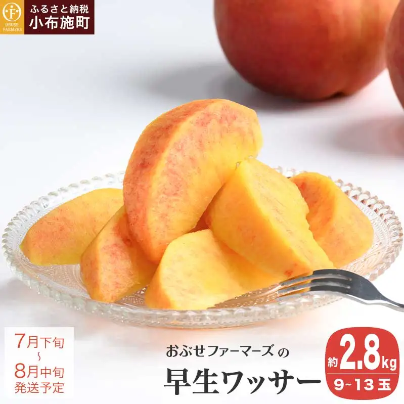 早生ワッサー 約2.8kg 9～13玉 ［おぶせファーマーズ］果物 フルーツ クール便 冷蔵便 長野県産 信州産  令和8年産【2026年7月下旬～8月中旬発送】［F-38］