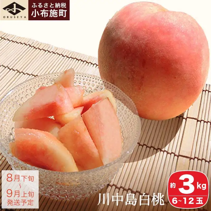 川中島白桃 約3kg 6～12玉 ［小布施屋］ 桃 白桃 もも モモ フルーツ 果物 令和8年産 【2026年8月下旬～9月上旬発送】［A-6］