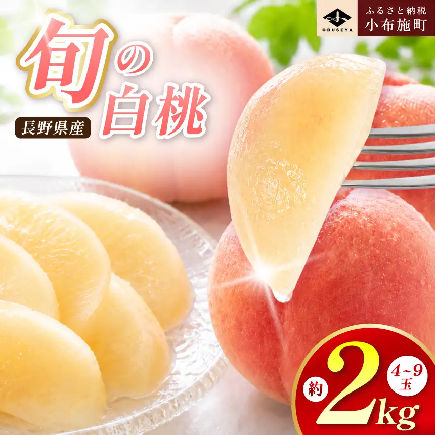 旬の白桃 約2kg 4～9玉 ［小布施屋］ 白桃 桃 もも モモ フルーツ 果物 クール便 冷蔵便 長野県産 信州産 期間限定 数量限定  たまき なつき あかつき 川中島白鳳 川中島白桃など 先行予約 2026 令和8年産 【2026年7月上旬～9月中旬発送】[H-76]