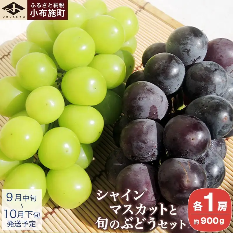 シャインマスカットと旬のぶどう 詰め合わせ 各1房 約900g［小布施屋］ 食べ比べ 果物 詰合せ セット フルーツ ぶどう 詰合せ 数量限定 長野県産 信州産 2種 くだもの フルーツセット おまかせ ブドウ  2026 先行予約 令和8年産 【2026年9月中旬～10月下旬発送】 ［A-229］