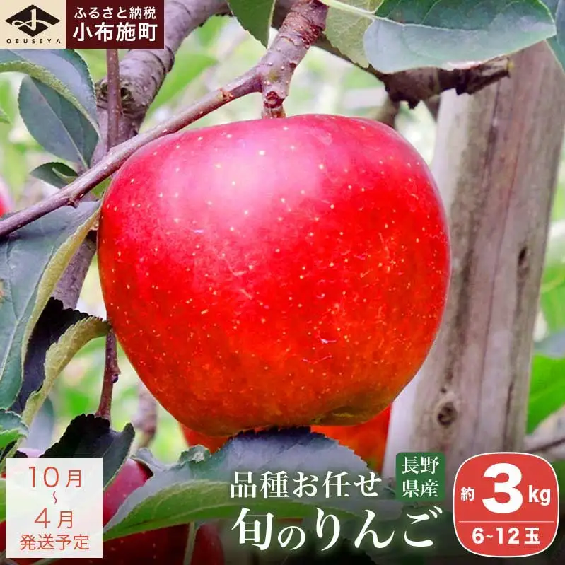 長野県産 季節の旬のりんご 約3kg 6～12玉［小布施屋］令和8年産 【2026年10月～2027年4月発送】［H-72］