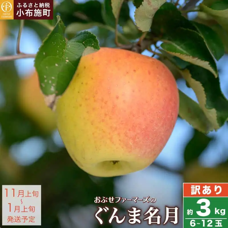 【訳あり】 ぐんま名月 約3kg 6～12玉 ［おぶせファーマーズ］  不揃い 規格外 家庭用 果物 フルーツ りんご リンゴ 林檎 長野県産 信州産 令和8年産 【2026年11月上旬～12月下旬発送】 ［FH-55］