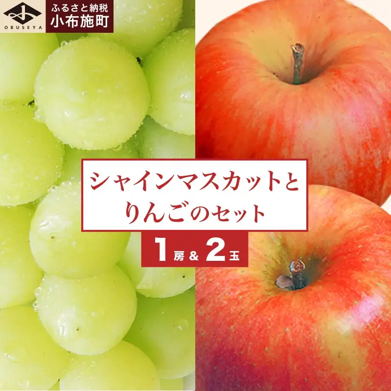 先行受付 シャインマスカット1房とりんご2玉 約1.3kg　詰め合わせ ［小布施屋］令和8年産 【2026年9月下旬頃～11月上旬頃まで順次発送】 ［A-307］