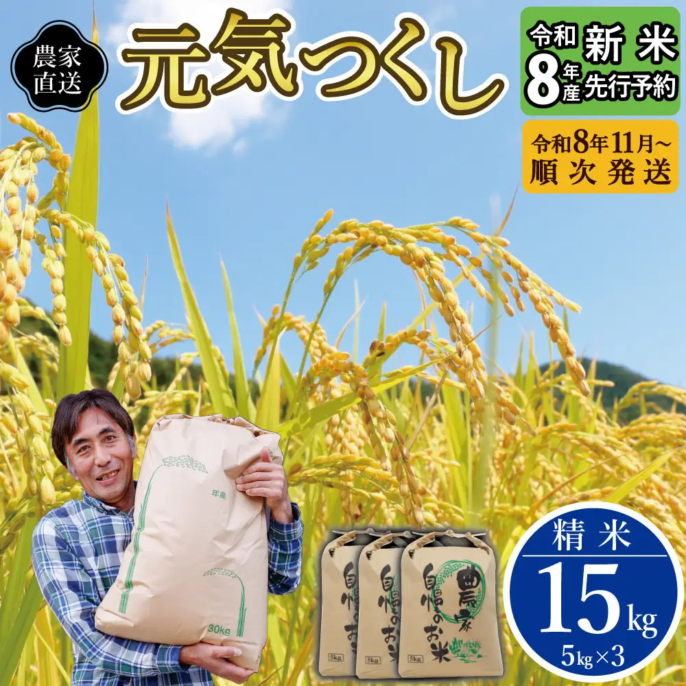【先行予約】【2026年11月より順次発送】《令和8年産》 福岡県大川市産 米 「 元気つくし 」 5kg×3個 計15kg | お米 米 こめ 精米 白米 ライス ブランド米 ごはん ご飯