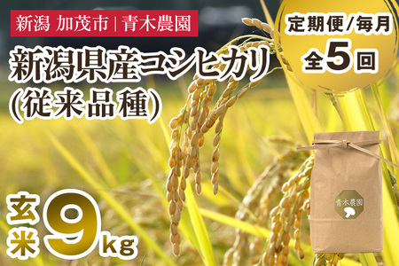 【令和8年産新米先行予約】【定期便5ヶ月毎月お届け】新潟県産 コシヒカリ（従来品種）玄米9kg（3kg×3袋）《10月上旬から順次発送》