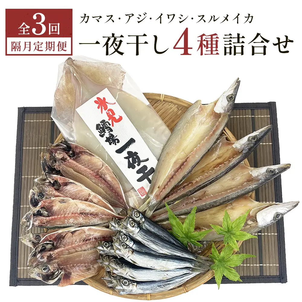 【隔月3回】一夜干し4種詰合せ定期便《カマス・アジ・イワシ・スルメイカ》 富山県 氷見市 定期便 干物 かます あじ 鰯 いわし いか おかず 一品