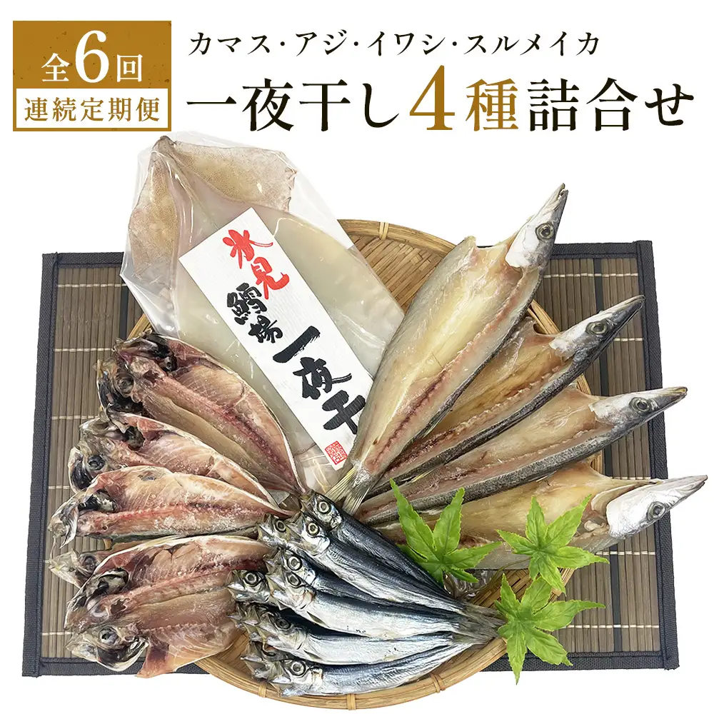 【連続6回】一夜干し4種詰合せ定期便《カマス・アジ・イワシ・スルメイカ》 富山県 氷見市 定期便 干物 かます あじ 鰯 いわし いか おかず 一品