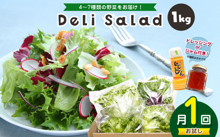 サラダミックス 【 お試し 月1回 】＼ デリサラダ ／ Deli Salad ★ ドレッシング or ジャム付き セット サラダ ミックス 1kg | アグリード お手軽 ミックス野菜 西洋ハーブ 個別包装 新鮮 おいしい 美しい野菜 水耕栽培 安定の品質 健康 千葉県 君津市 きみつ