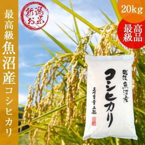 令和7年産 新潟コシヒカリ20kg(5kg×4) こしひかり 精米