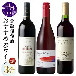 ワイン 蒼龍葡萄酒おすすめ赤ワイン3本セット（MG）C1-485