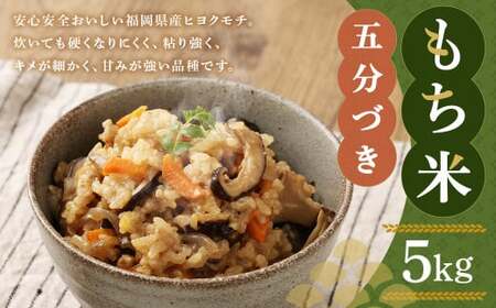 福岡県産 栽培期間中 農薬・肥料不使用 もち米 【五分づき】5kg 1袋 ／ 餅米 もち 米 お米 おこわ 赤飯 福岡県 筑後市