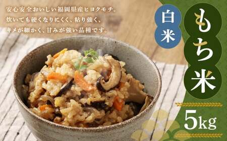 福岡県産 栽培期間中 農薬・肥料不使用 もち米【白米】5kg 1袋 ／ 餅米 もち 米 お米 おこわ 赤飯 福岡県 筑後市