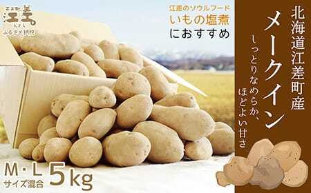 【8月下旬～順次出荷予定】北海道江差産 メークイン 5kg M・L混合　しっとり甘い江差産　北海道のじゃがいも　いもの塩煮にぴったり　いかの塩辛と一緒にどうぞ　ジャガバター　フライドポテト　カレー