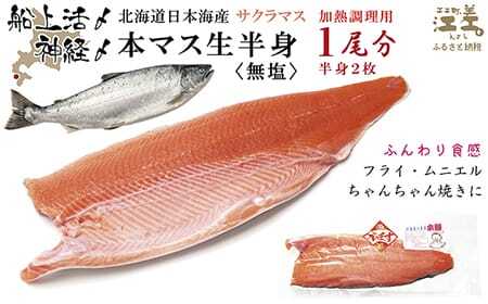 船上活〆北海道日本海産 本マス〈サクラマス〉生半身×2パック  1尾分　加熱調理用　ふんわり食感　癖のない上品な旨みと脂のり　「鮭より美味い」という評判も　神経締め　活締め　桜鱒　サーモン