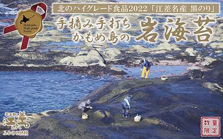 かもめ島の岩海苔〈天然・無添加・手摘み手打ち〉全形10枚　数量限定　北のハイグレード食品2022選定「江差名産 黒のり」　希少な「天然岩ノリ」だけで漁師が手作り　最高級の生干し板海苔　漁師めし　絶品海苔弁当　最高のおにぎり　国産海藻　北海道日本海