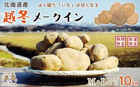 【早期予約 2026年2月より順次出荷】北海道産 越冬メークイン M・L混合 10kg　低温熟成　糖度アップ　訳あり　農家直送　越冬じゃがいも　越冬いも　よく寝たいも　甘い　芋の塩煮にぴったり　じゃがバター　いかの塩辛と一緒にどうぞ