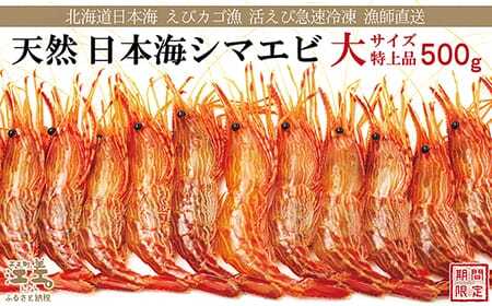 【！！先行予約！！＼12月中旬以降、順次出荷予定／】北海道産 違いが分かる天然日本海シマエビ 大サイズ 500g　色鮮やかで香りよし 濃厚な甘み 食べれば分かる格別の味！　国産　江差近海産　天然もの　エビかご漁師直送　最良品厳選　生食可　お刺身　天ぷら　エビフライ　海老