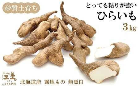 【早期予約 10月より順次出荷予定】北海道産 ひらいも  3kg　砂質土育ち とっても粘りが強い 北海道の山芋　もちもち食感　露地もの　無漂白　ねばり芋　やまと芋　長芋　自然薯　山かけ　とろろ　いももち　豚汁