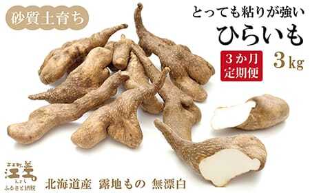 【早期予約 10月より順次出荷予定】《3か月定期便》北海道産 ひらいも  3kg／毎月お届け　砂質土育ち とっても粘りが強い 北海道の山芋　もちもち食感　露地もの　無漂白　ねばり芋　やまと芋　長芋　自然薯　山かけ　とろろ　いももち　豚汁