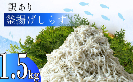 【訳あり】 釜揚げ しらす 500g 3パック サイズ不揃い 冷凍 しらす