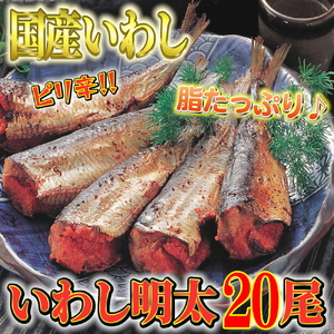 ピリ辛　いわし明太20尾　福岡名物の辛子明太子を鰯に詰め込みました。唐辛子好き辛党の方に。川崎町 MRG049