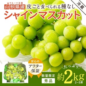 【期間限定】【2026年発送】山形のぶどう(シャインマスカット)約2kg（2～5房）_H063(R8)-2