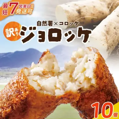 Z19-09 じねんじょコロッケ ジョロッケ 10個セット 自然薯 コロッケ
