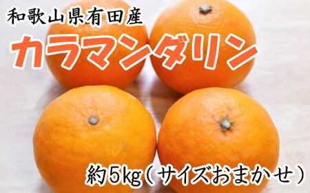 【春みかん】和歌山有田産カラマンダリン約5kg(サイズおまかせ) 
